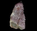 Dark Cactus Quartz (Amethyst) Crystal - South Africa #64243-1